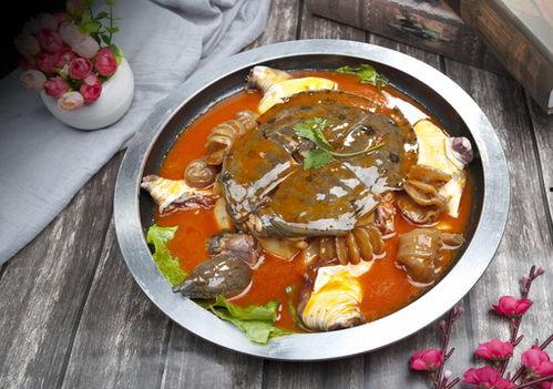 麻辣甲鱼爆料视频播放下载,独家播放下载，揭秘幕后真相